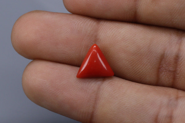 Triangle Coral  - 2.9ct - KTC214167