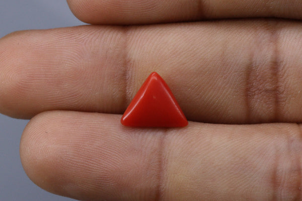 Triangle Coral  - 2.3ct - KTC214168