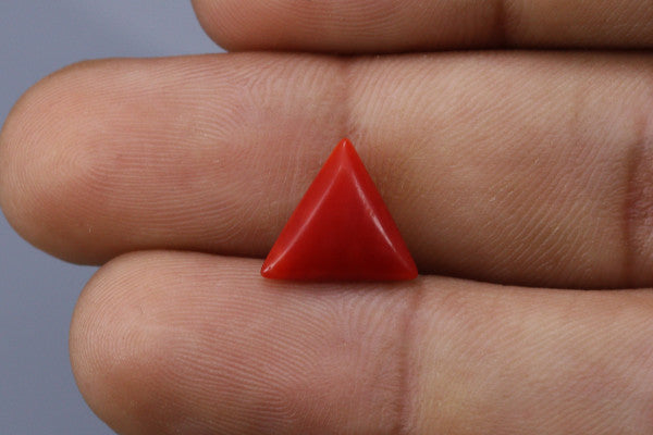 Triangle Coral  - 2.4ct - KTC214169