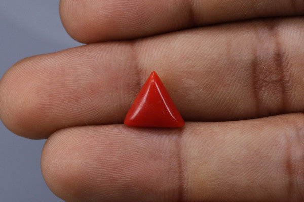 Triangle Coral  - 2.8ct - KTC214170