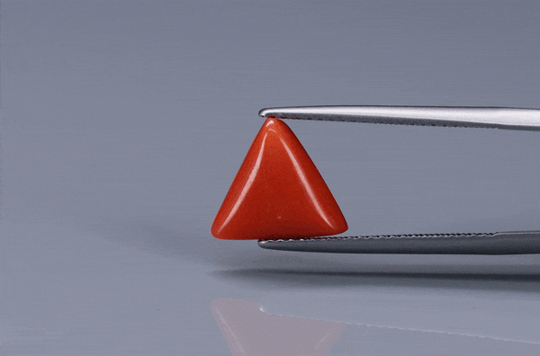Triangle Coral  - 2.6ct - KTC214171
