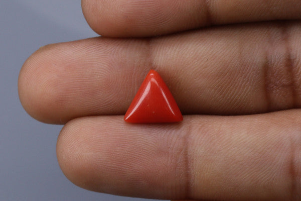 Triangle Coral  - 2.6ct - KTC214171