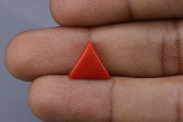 Triangle Coral  - 2.7ct - KTC214172