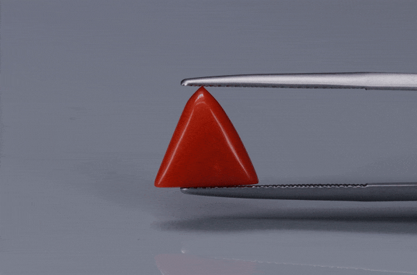 Triangle Coral  - 2.7ct - KTC214173