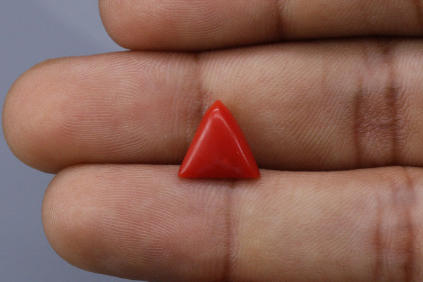Triangle Coral  - 2.7ct - KTC214173