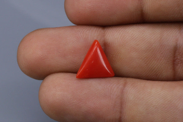 Triangle Coral  - 2.8ct - KTC214175
