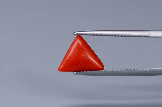 Triangle Coral  - 2.95ct - KTC214176
