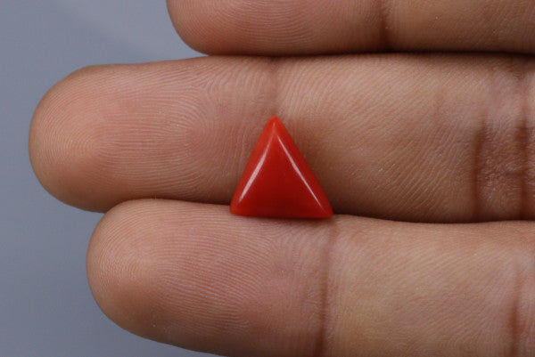 Triangle Coral  - 2.95ct - KTC214176
