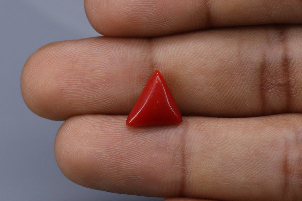 Triangle Coral  - 2.7ct - KTC214177