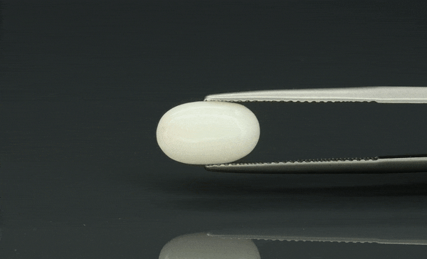 White Coral - 3.05ct - KWC211932