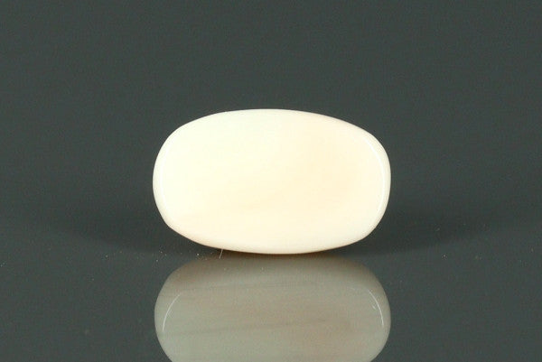White Coral - 4.05ct - KWC211933