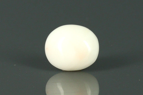 White Coral - 4.5ct - KWC211938