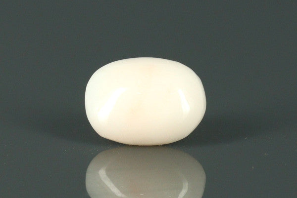 White Coral - 3.65ct - KWC211940