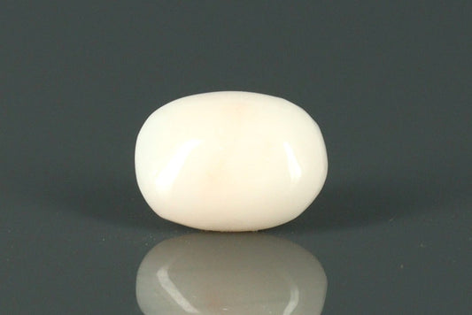 White Coral - 3.65ct - KWC211940
