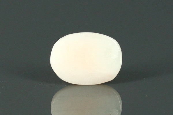 White Coral - 3.65ct - KWC211940