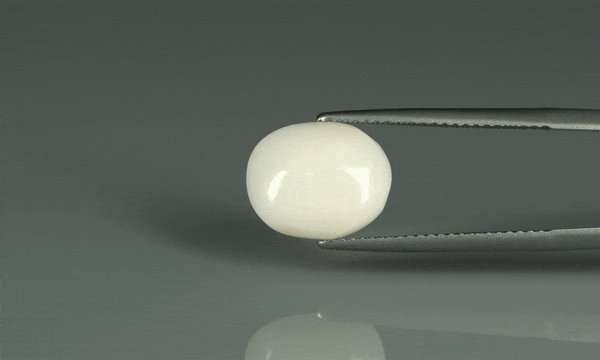 White Coral - 4.5ct - KWC212838