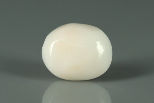 White Coral - 4.5ct - KWC212838