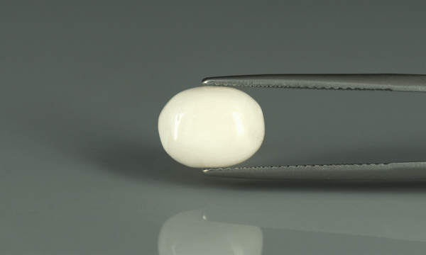 White Coral - 4.15ct - KWC212848