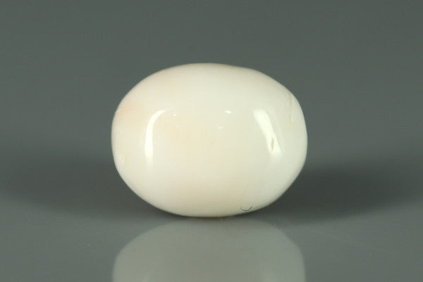 White Coral - 4.15ct - KWC212848