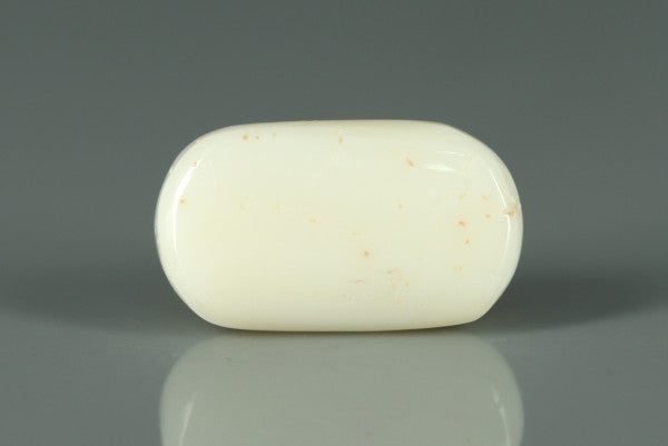 White Coral - 7.25ct - KWC213646
