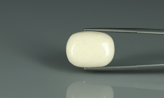 White Coral - 17.9ct - KWC213647