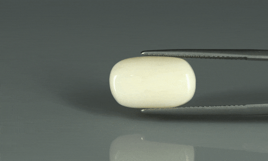 White Coral - 7ct - KWC213649