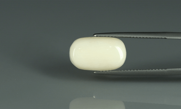 White Coral - 7.6ct - KWC213652