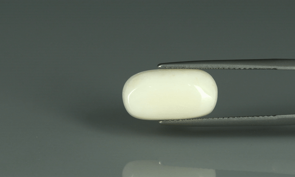 White Coral - 7.15ct - KWC213655