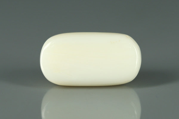 White Coral - 11.15ct - KWC213656
