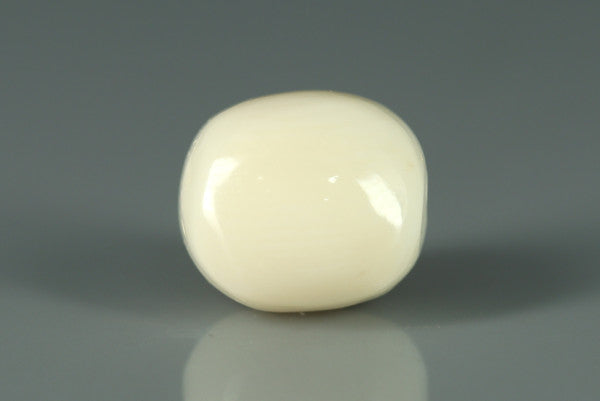 White Coral - 10.95ct - KWC213657