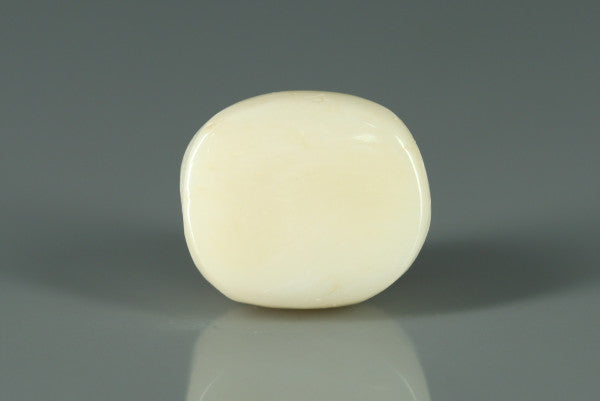 White Coral - 10.95ct - KWC213657