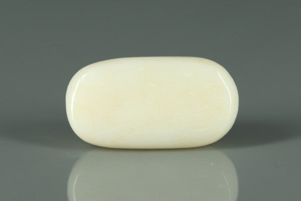 White Coral - 6.15ct - KWC213664