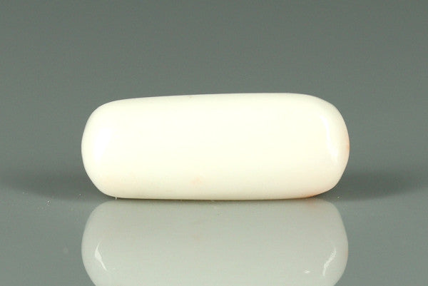 White Coral - 6ct - KWC312050