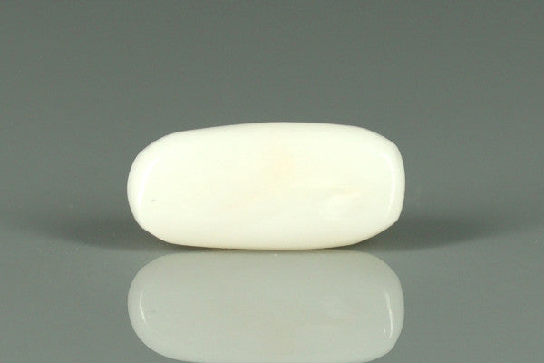 White Coral - 3.85ct - KWC312051