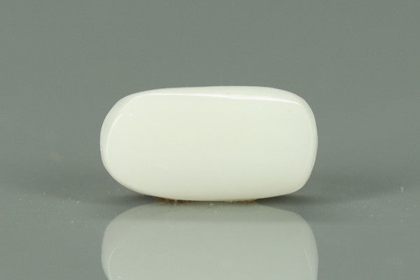 White Coral - 3.7ct - KWC312052