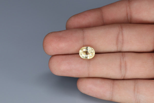 Yellow Sapphire - 5.55ct - KYSP313129