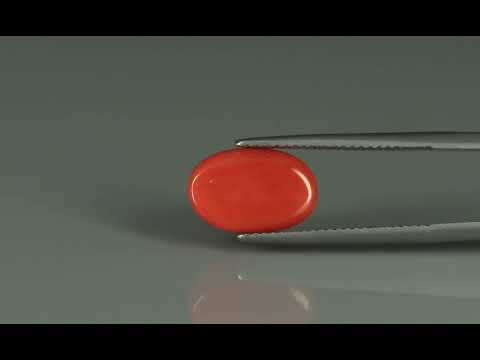 Primary video