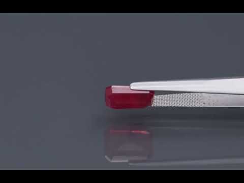Primary video