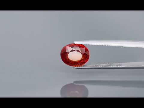 Primary video