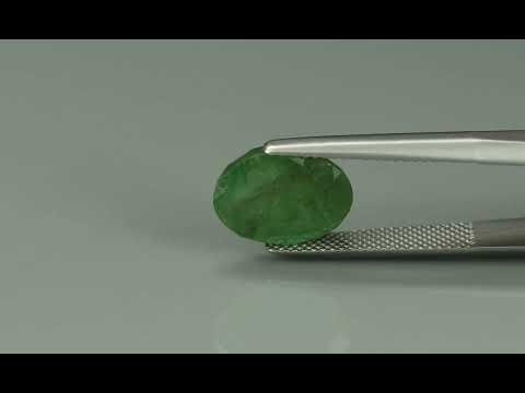 Primary video
