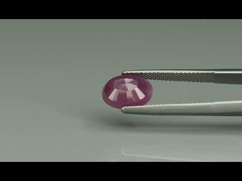 Primary video