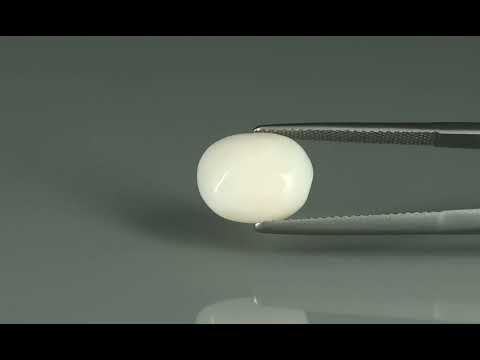Primary video