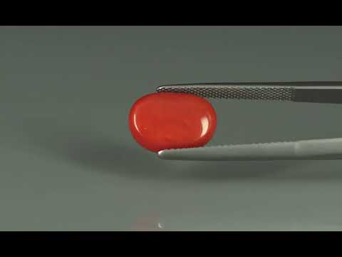 Primary video