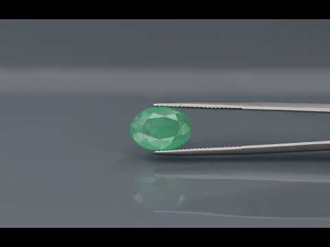 Primary video