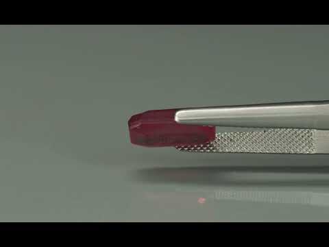 Primary video