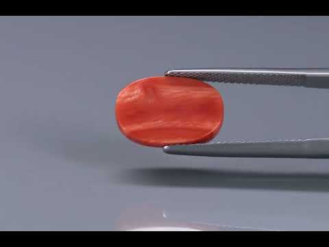 Primary video