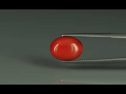 Primary video