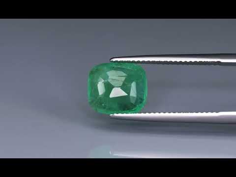 Primary video
