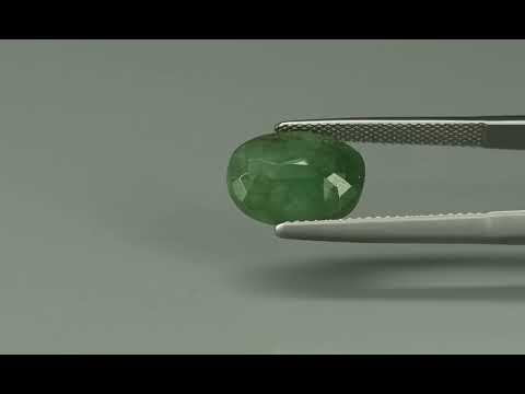 Primary video
