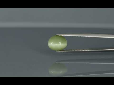 Primary video